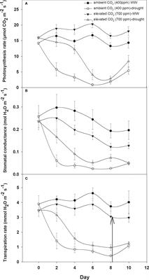 Interactive effect of elevated CO2 and drought on physiological traits of Datura stramonium